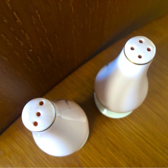 Royal Splendour Salt and Pepper Shaker Set ✨ Fine Arts ✨ Vintage Ceramic Dining - Picture 3 of 6